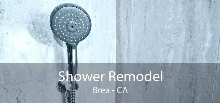 Shower Remodel Brea - CA