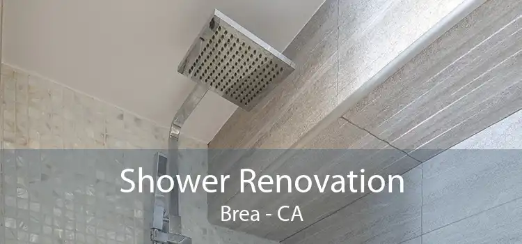 Shower Renovation Brea - CA