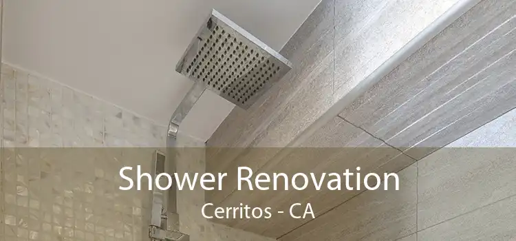 Shower Renovation Cerritos - CA