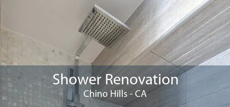 Shower Renovation Chino Hills - CA