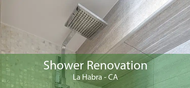 Shower Renovation La Habra - CA