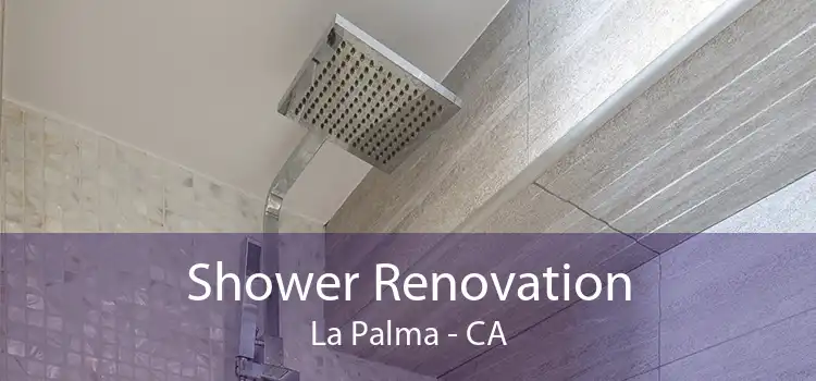 Shower Renovation La Palma - CA