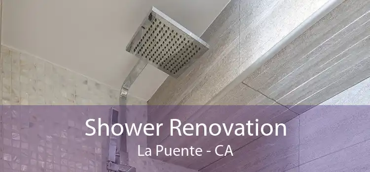 Shower Renovation La Puente - CA