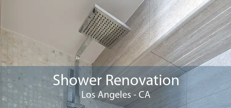 Shower Renovation Los Angeles - CA