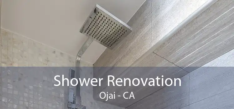 Shower Renovation Ojai - CA