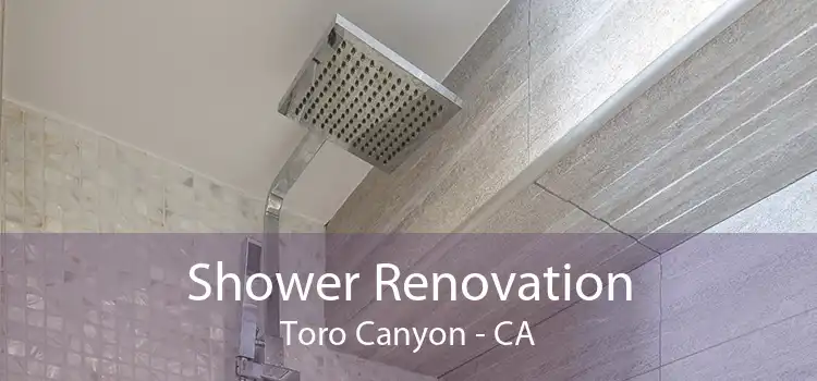 Shower Renovation Toro Canyon - CA