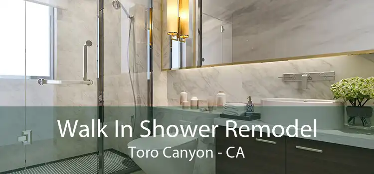 Walk In Shower Remodel Toro Canyon - CA