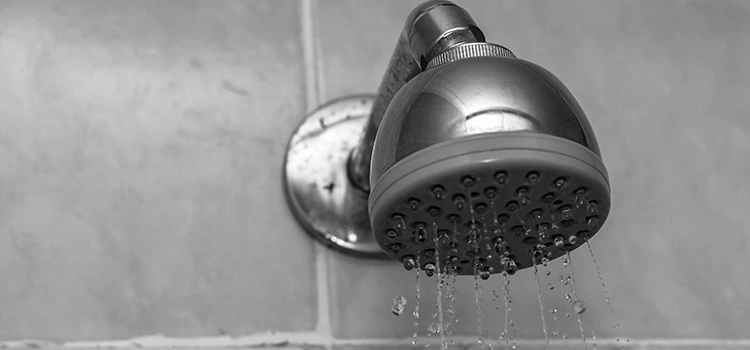 Bath Shower Remodel in California